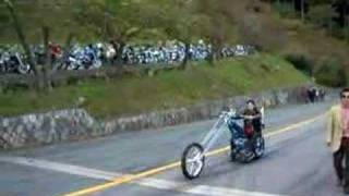 Japanese long fork chopper