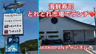 海鮮寿司とれとれ市場でランチ❤️WAKAPANチャンネル🐼