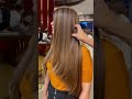 blond ash hair color hair color transformation