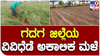 Rain in Gadag: ಗದಗ ಜಿಲ್ಲೆಯ ವಿವಿಧೆಡೆ ಆಲಿಕಲ್ಲು ಸಹಿತ ಅಕಾಲಿಕ ಮಳೆ‌ ಅಬ್ಬರ | #Tv9B