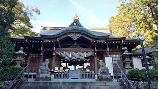 相模國 総社 六所神社⛩️ミツハノメ✨クシナダヒメ スサノオ オオナムチ 出雲🐉龍神 弁天 ウカノミタマ 結びみくじ🎀組み紐