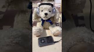 動くクマのぬいぐるみスピーカー🧸🔉magic music bearを鳴らしてみた。