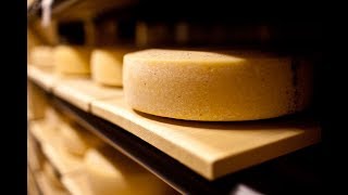 Welcome to Nicasio Valley Cheese