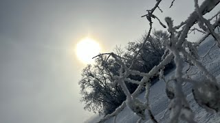 Гром/пар. 14.01.25 ЗАО «Кировский конный завод».