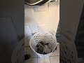 Laundry Room Hack: Door-Mounted Basket Solution