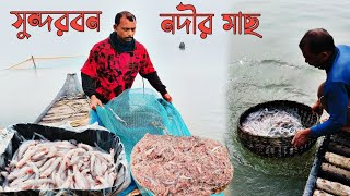 সুন্দরবনের রায়মঙ্গল নদীতে মামার নৌকা করে কত মাছ ধরলাম 😱 | Sundarban Vlog | River Fishing