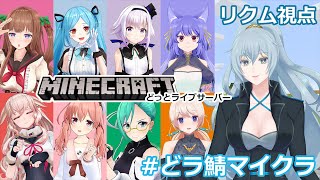 【Minecraft】今日はみんなで宝探し【 #どラ鯖マイクラ /リクム視点】