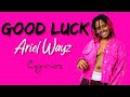 Ariel Wayz - Good luck ( video lyrics)