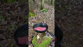 Pan-Seared Bison steak - cooking steak on a survival stove - Maillard reaction