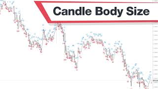 Candle Body Size Forex Indicator MT4 - Best Review For 2 Minutes