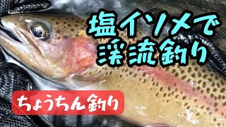 塩イソメで渓流釣り【提灯釣り】