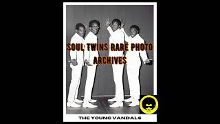 The Young Vandals ~ I've Been Good To You