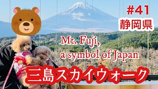 【おでかけVlog】トイプードル多頭飼い⭐︎三島スカイウォークへ行ってみた／【 Travel Vlog】I've seen Mt. Fuji on the Mishima Skywalk.