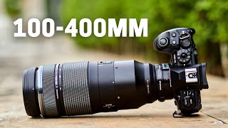 Olympus 100-400mm F5-6.3 Review - Almost a PRO Lens!