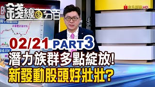 《潛力族群多點綻放! 新發動股頭好壯壯?》【錢線百分百】20250221-3│非凡財經新聞│