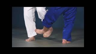 Keiji Suzuki, ko uchi gari.Подсечка изнутри в исполнении Олимпийского чемпиона Кейджи Судзуки.#judo