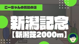 【2023新潟記念】新潟芝2000ｍの特徴と馬場傾向（トラックバイアス）