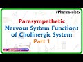 3.Parasympathetic Nervous system - Functions of cholinergic system Part 1 ( ANS Pharmacology )