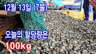 12월 13일 7물 오늘의 할당량은 100kg