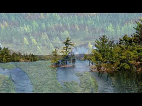 Why is the Canadian Shield important to Canada?