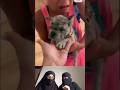 Girl Surprised with Adorable Puppy on her Birthday #reactionvideo #reaction