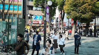 Tokyo City Bus  池袋駅東口→西新井駅前　王40バス