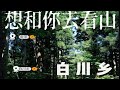 日本自驾｜小众路线～住白川乡森林酒店，来大自然吸氧～