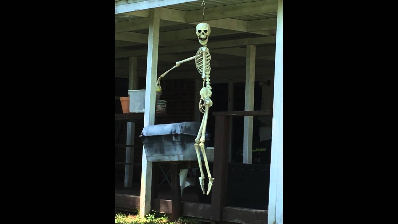 Skeleton Laughing Youtube