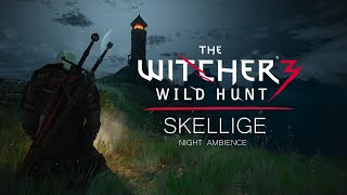 Witcher 3 - Skellige - Night - Music \u0026 Ambient - Meditate like a Witcher