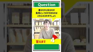 【ヨモギ】春ヨモギと秋ヨモギ食用としておすすめなのはどちらのヨモギでしょう？#shorts