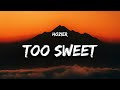 Hozier - Too Sweet (Lyrics) 