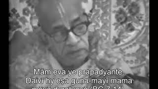 Prabhupada 1000 Maya zawsze szuka okazji, aby was schwytać ponownie