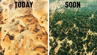 Oasis Overload: Will the Sahara Become the New Everglades?