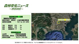 【森林変化】神奈川県（2024年まとめ、10月～12月）