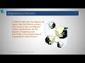 what is organizational behavior organizational behavior chapter 1