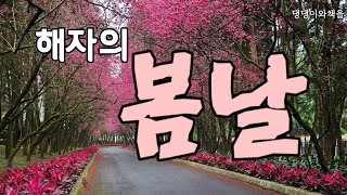 김인희유튜브장편소설/해자의 봄날/55세학습지교사의 생존분투기/댕댕이와책을,이 쓰고 낭독하는 소설