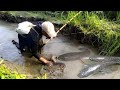 Nyetrum ikan gabus, sangking banyak nya ikan hingga jadi bingung ngambil nya part 2