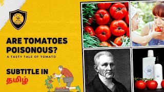 Are Tomatoes Poisonous?