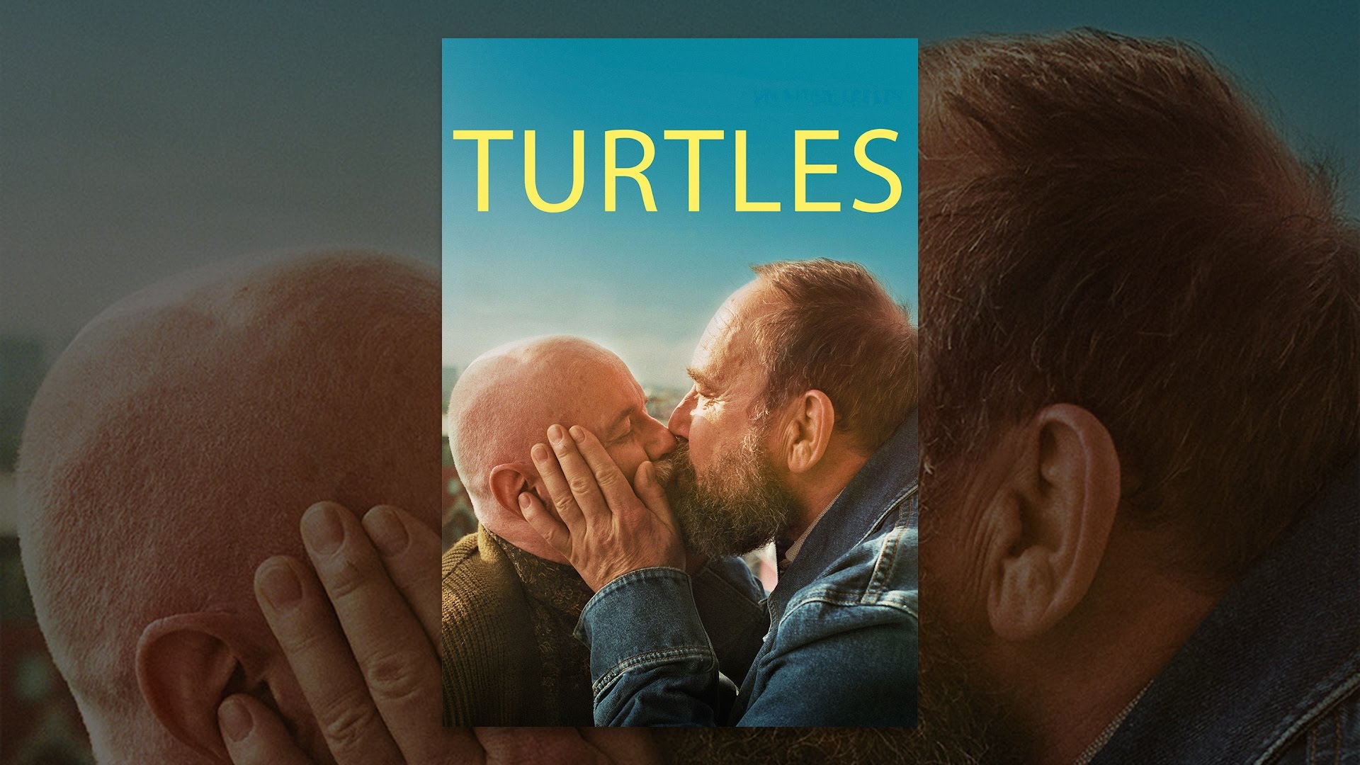 Turtles Youtube