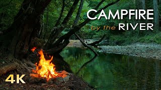4K Campfire by the River   Relaxing Fireplace & Nature Sounds   Robin Birdsong    UHD Video   2160p