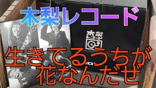 木梨憲武さんのレコードがめちゃめちゃいい！生きてるうちが花なんだぜ 佐藤浩市さん宇崎竜童さん