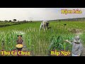 Linh Philip || Những Thành Công Đầu Tiên Trong Việt Phi Farm. Khi Mùa Mưa Đang Cận Kề !!!