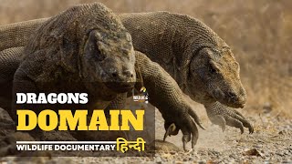 Dragons Domain - हिन्दी डॉक्यूमेंट्री | Wildlife documentary movie in Hindi, Animal Planet