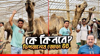 আজব কান্ড! উটের দাম নাকি ১ কোটি ৬০ লক্ষ টাকা || কে কিনবে এই বিশাল সাইজের উট?