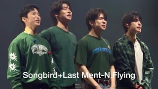 [🇲🇾N.Flying📸] 01.12.2024 Songbird+Last Ment🇲🇾N.Flying LIVE 'HIDE-OUT' in KUALA LUMPUR | yeannyLog