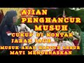 AJIAN PENGHANCUR MUSUH