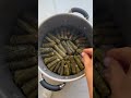 lebanese stuffed grape leaves feelgoodfoodie