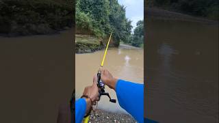 Mancing di ponorogo