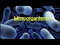 microorganisms सूक्ष्मजीव bacteria fungi algae virus protozoa class 8th science cbse