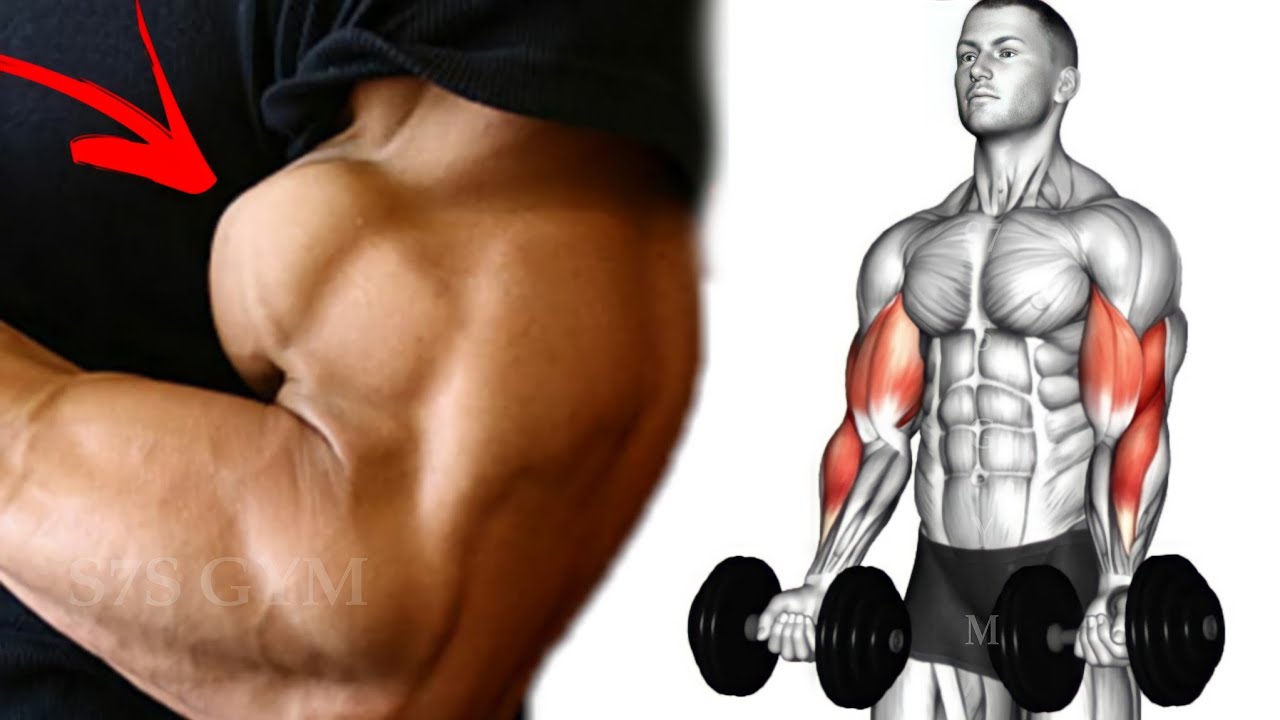 6 Fastest Big Biceps Exercises Youtube